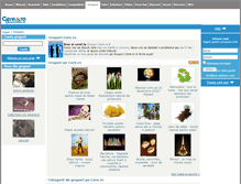 Tablet Screenshot of grupuri.cere.ro